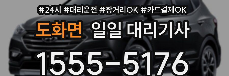 도화면 일일 대리기사