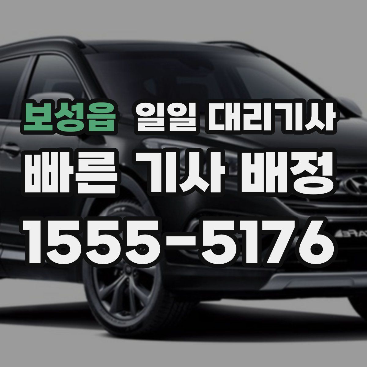 보성읍 일일 대리기사