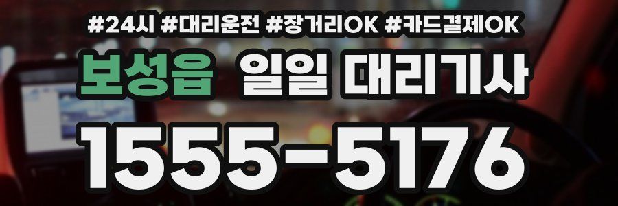 보성읍 일일 대리기사