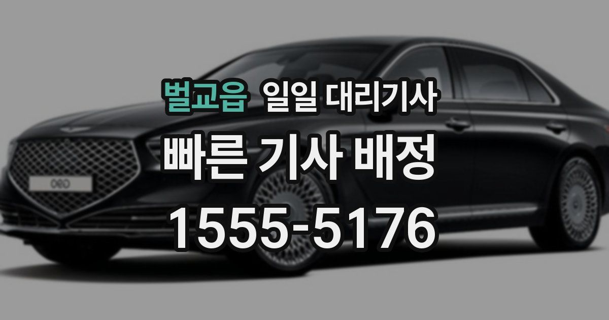 벌교읍 일일 대리기사