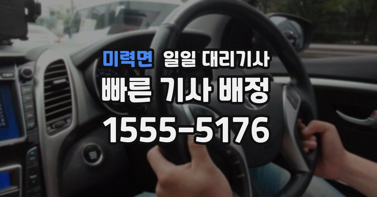 미력면 일일 대리기사