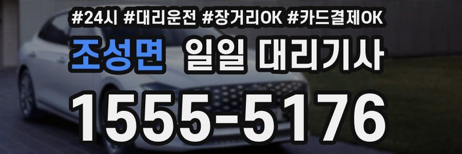 조성면 일일 대리기사