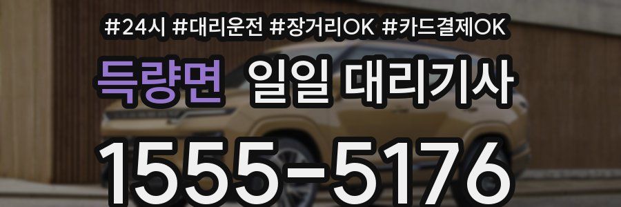 득량면 일일 대리기사
