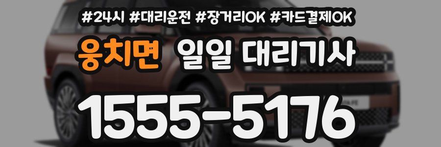 웅치면 일일 대리기사