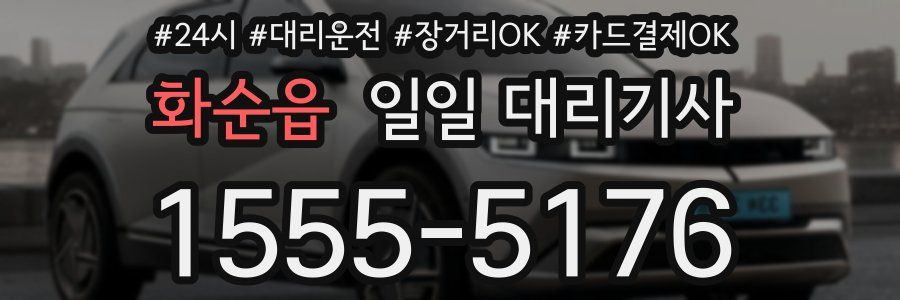화순읍 일일 대리기사