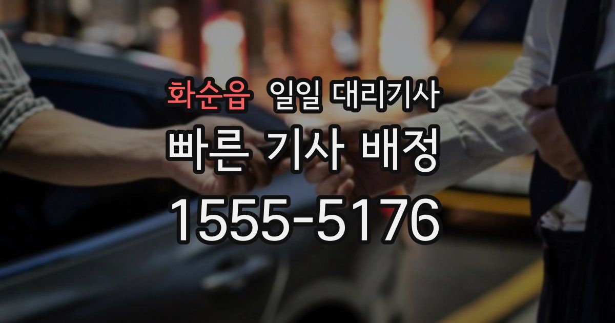 화순읍 일일 대리기사