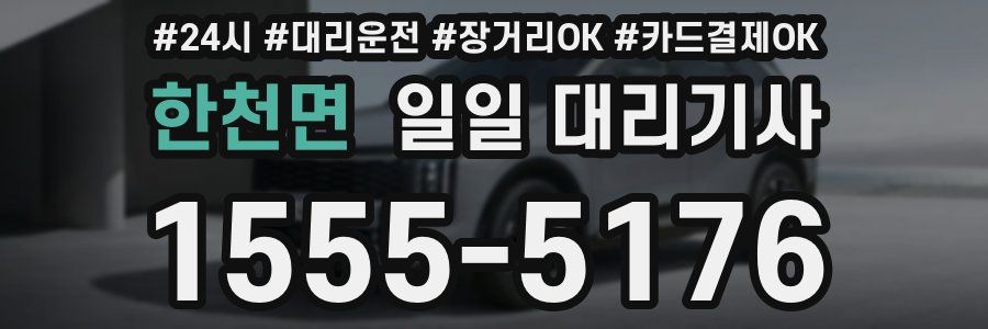 한천면 일일 대리기사
