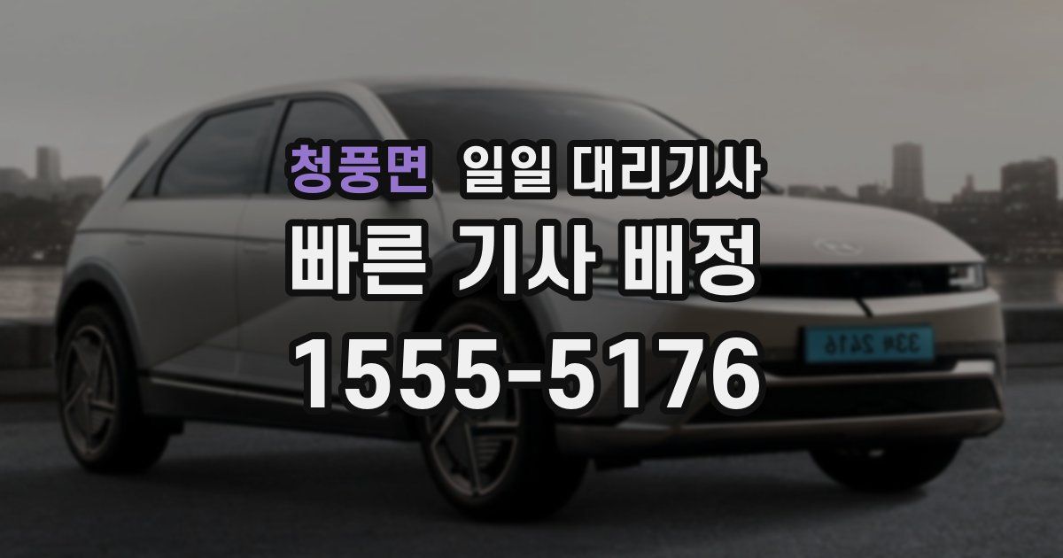 청풍면 일일 대리기사