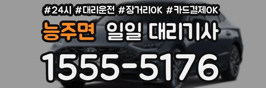 능주면 일일 대리기사