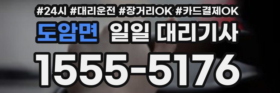 도암면 일일 대리기사