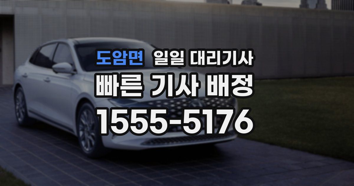 도암면 일일 대리기사