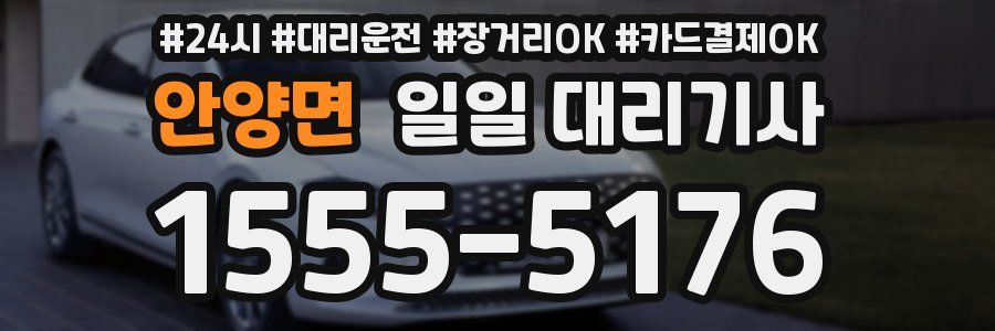 안양면 일일 대리기사