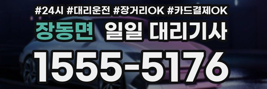 장동면 일일 대리기사