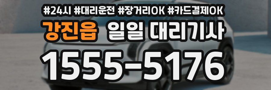 강진읍 일일 대리기사