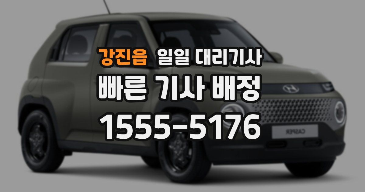강진읍 일일 대리기사