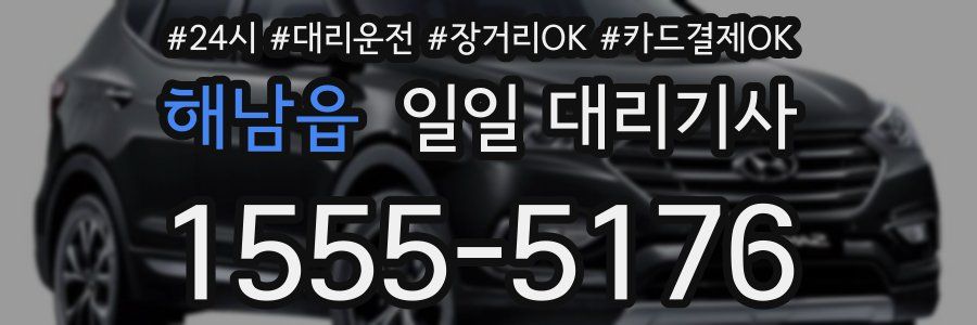 해남읍 일일 대리기사