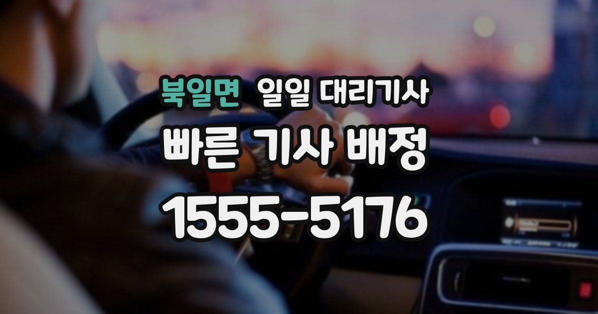 북일면 일일 대리기사