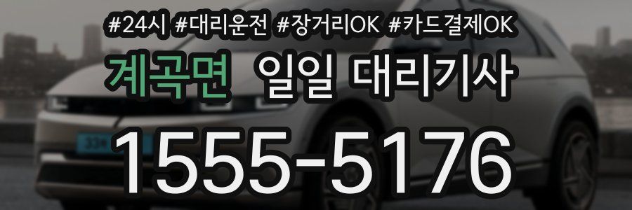 계곡면 일일 대리기사