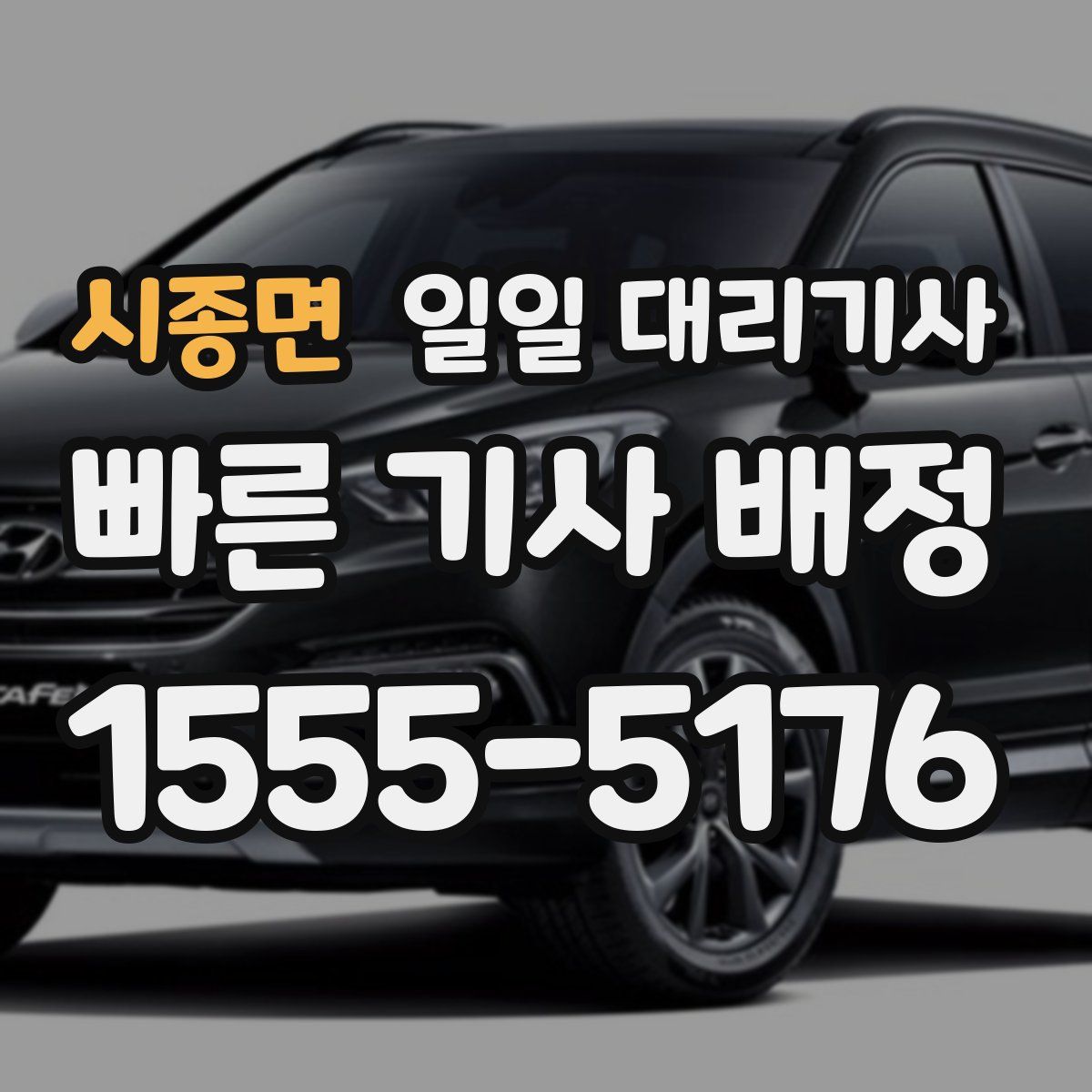 시종면 일일 대리기사