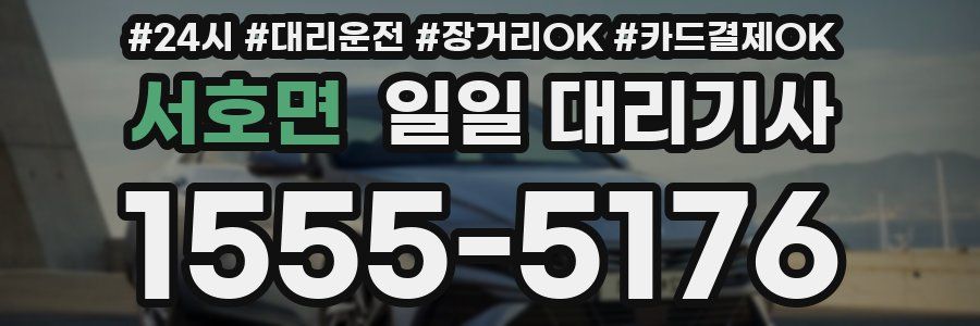 서호면 일일 대리기사