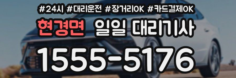 현경면 일일 대리기사
