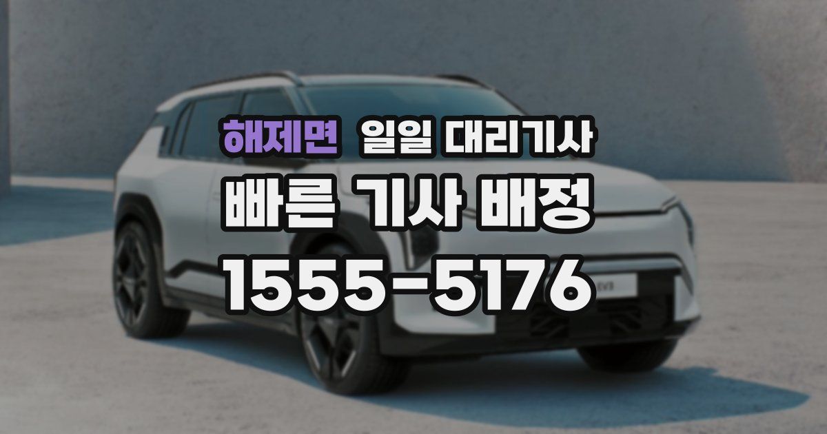 해제면 일일 대리기사