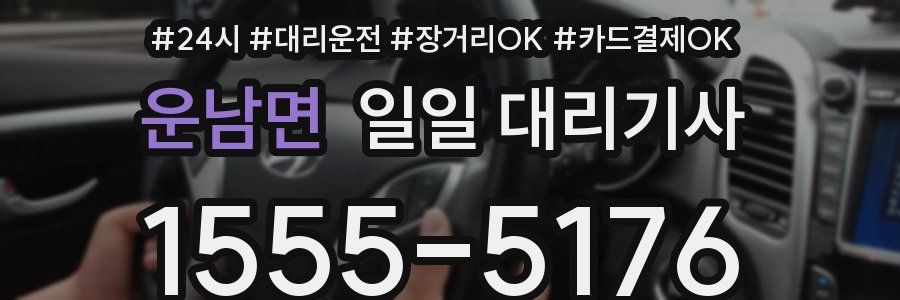 운남면 일일 대리기사