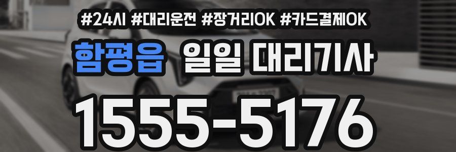 함평읍 일일 대리기사