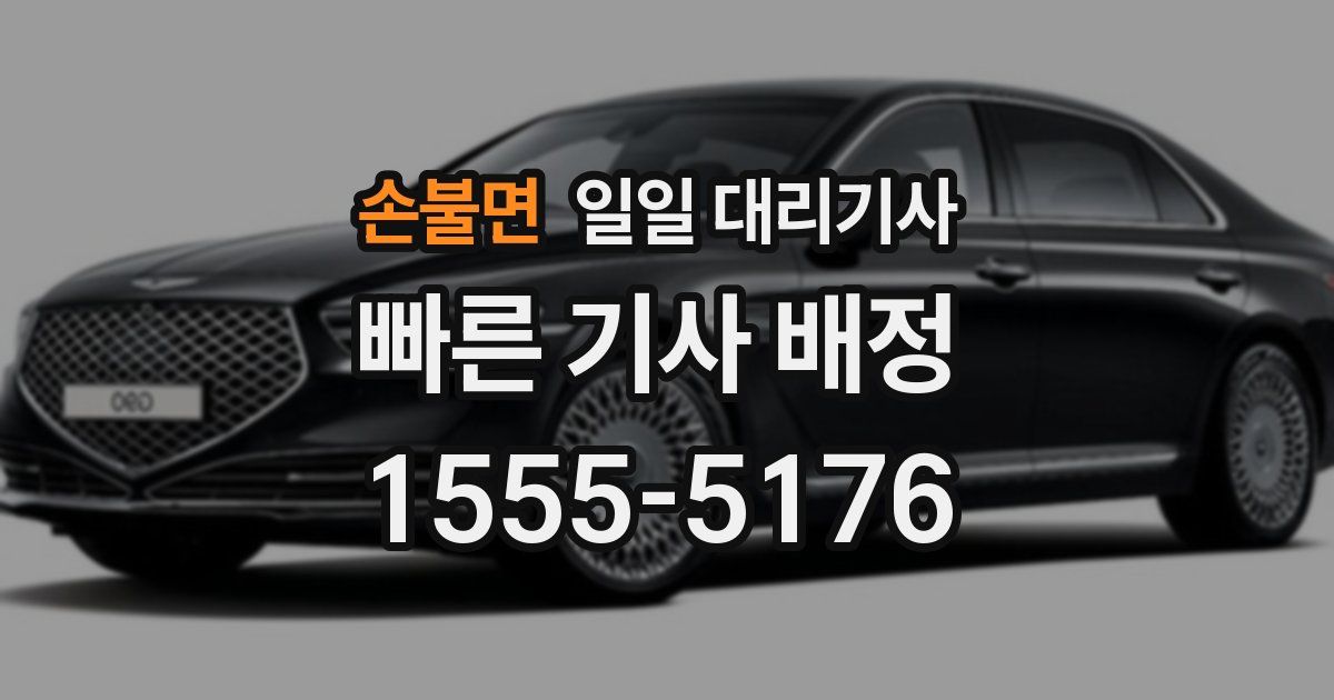 손불면 일일 대리기사