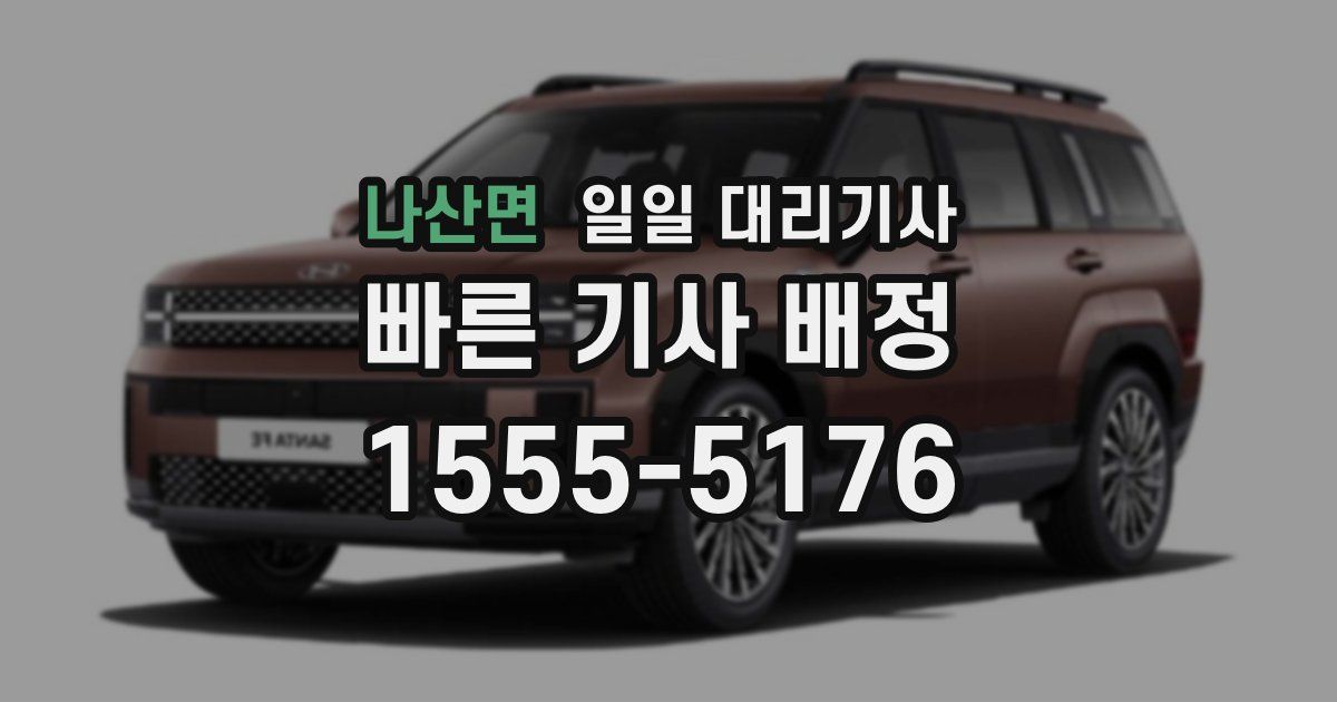 나산면 일일 대리기사