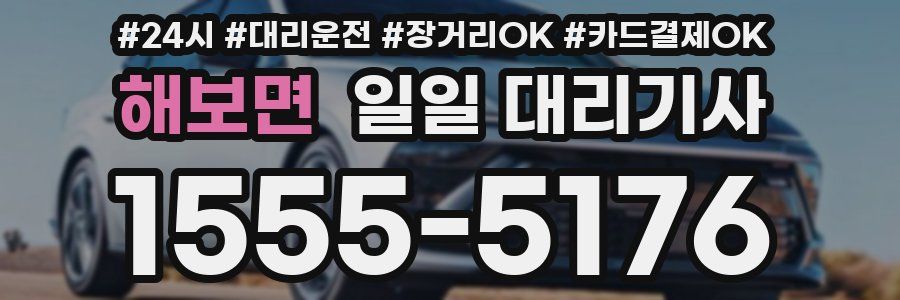 해보면 일일 대리기사