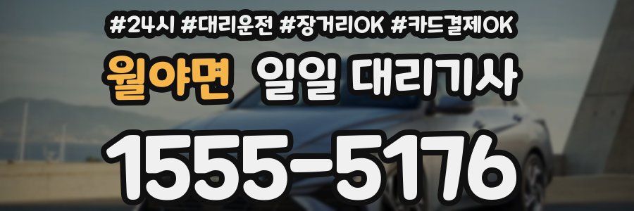 월야면 일일 대리기사