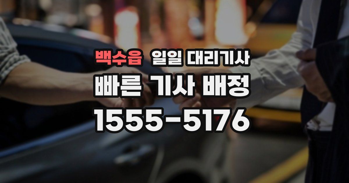 백수읍 일일 대리기사