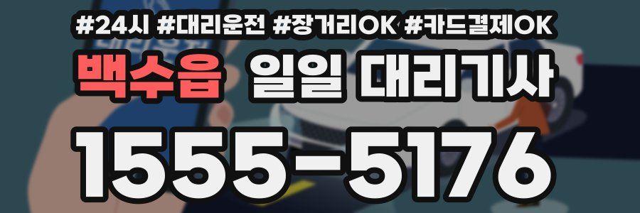 백수읍 일일 대리기사