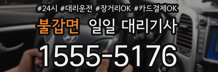 불갑면 일일 대리기사