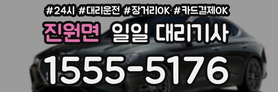 진원면 일일 대리기사