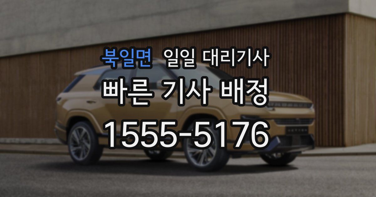 북일면 일일 대리기사