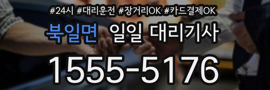 북일면 일일 대리기사