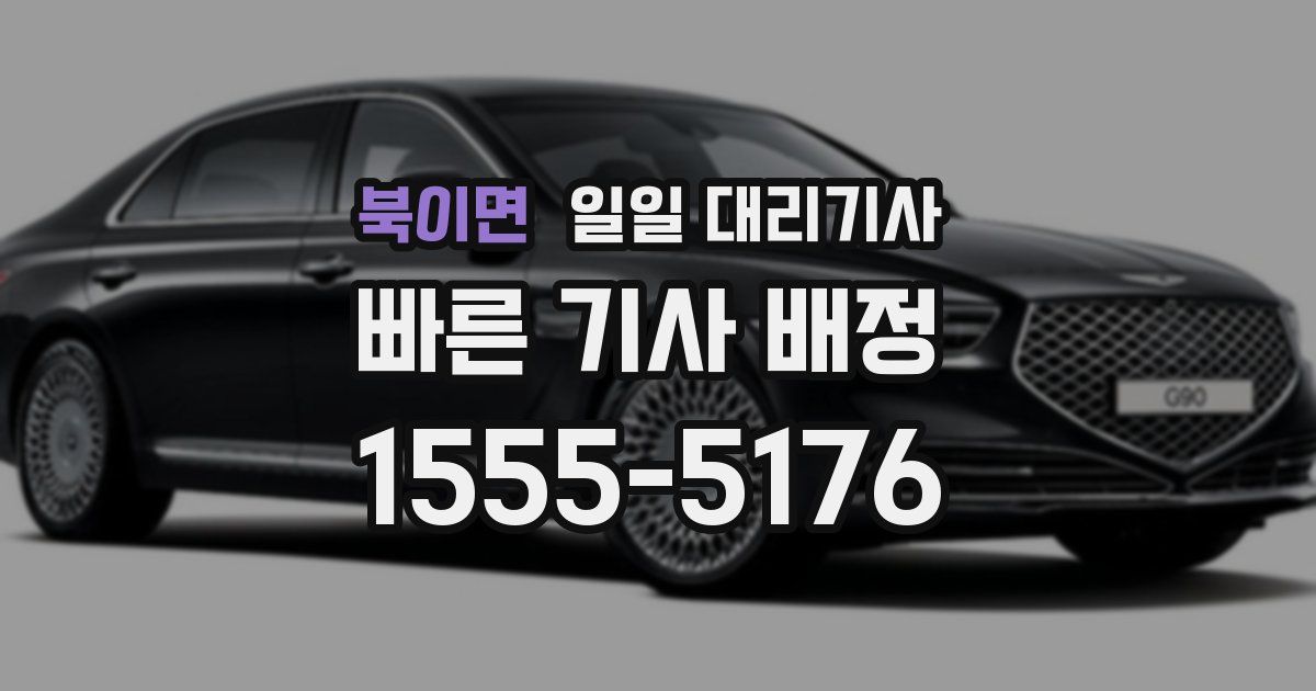 북이면 일일 대리기사