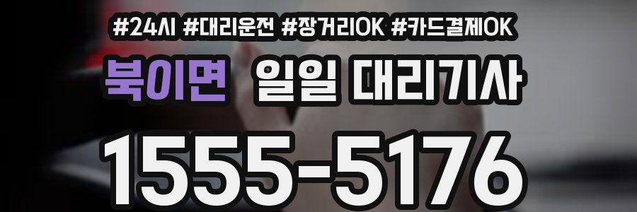 북이면 일일 대리기사