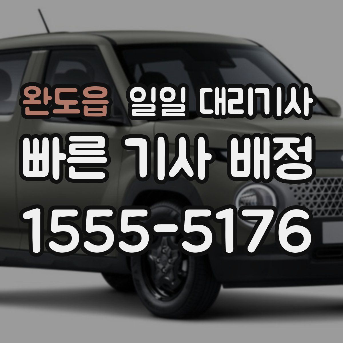 완도읍 일일 대리기사