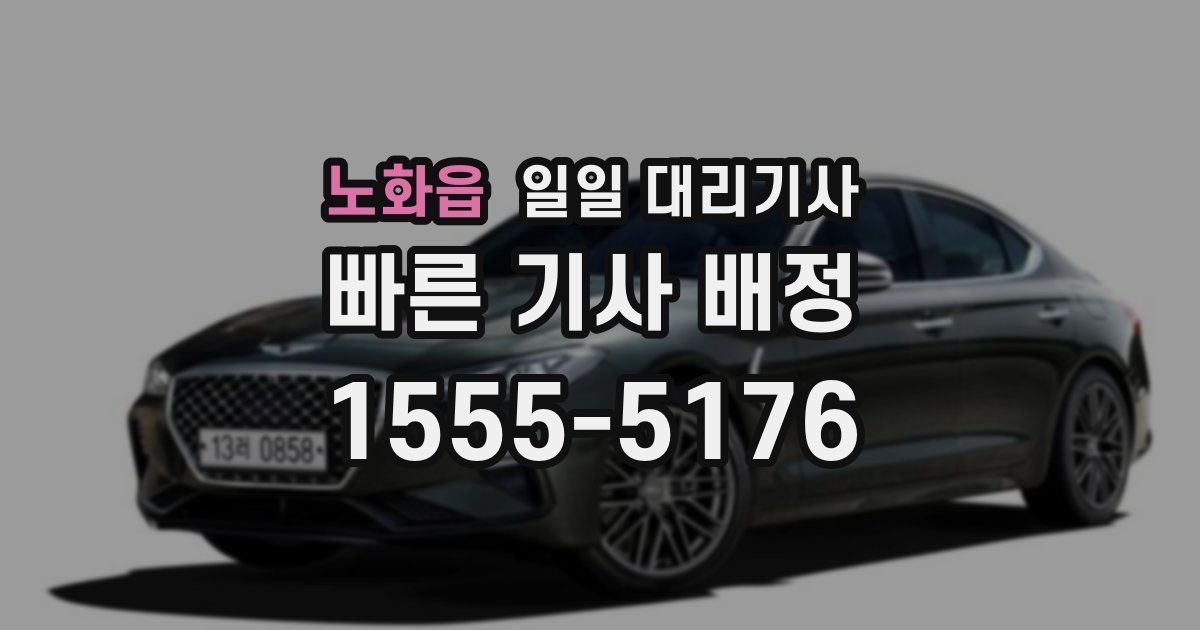 노화읍 일일 대리기사