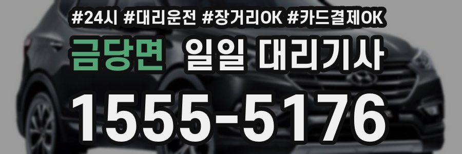 금당면 일일 대리기사