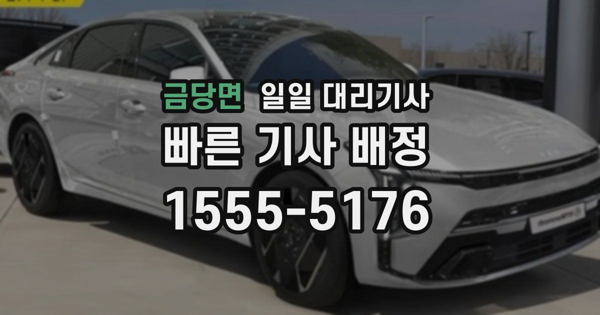 금당면 일일 대리기사