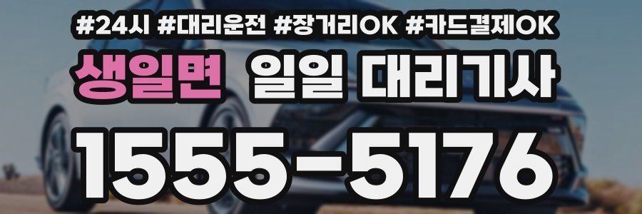 생일면 일일 대리기사
