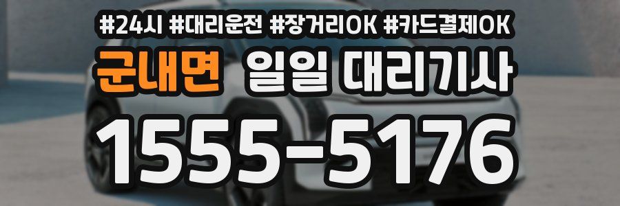 군내면 일일 대리기사