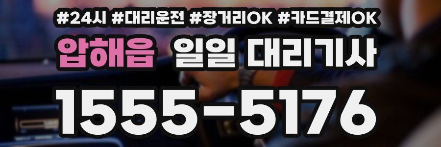 압해읍 일일 대리기사