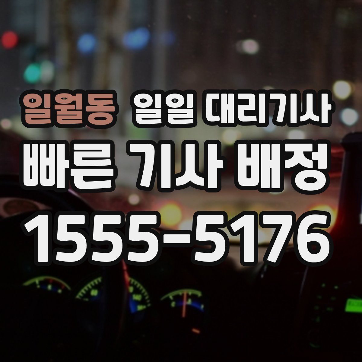 일월동 일일 대리기사