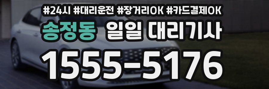 송정동 일일 대리기사