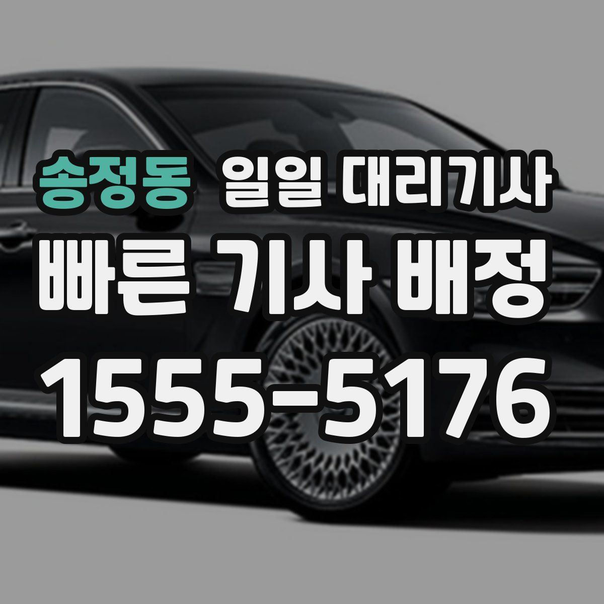 송정동 일일 대리기사